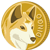 DINGO